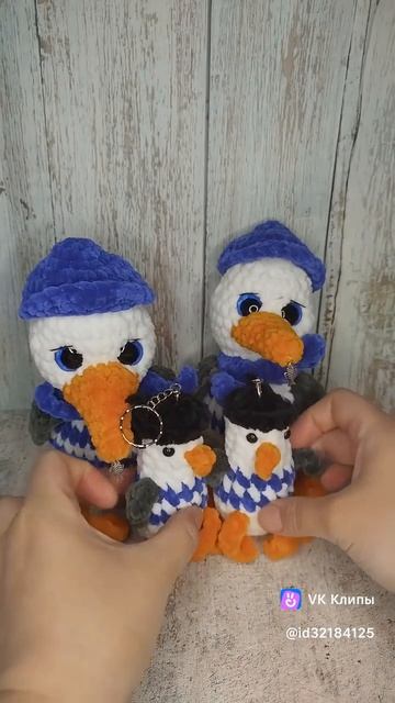 чайки