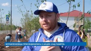 МУРАВЛЕНКОВЦЫ ПРИСОЕДИНИЛИСЬ К АКЦИИ «САД ПАМЯТИ»