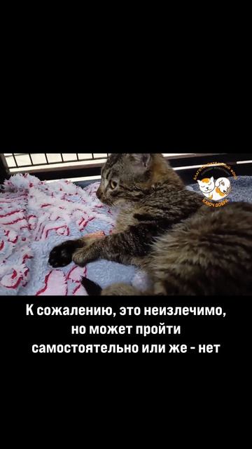 У Верона последствия перенесенной инфекции