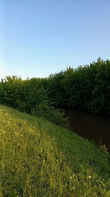 Мензеля 2