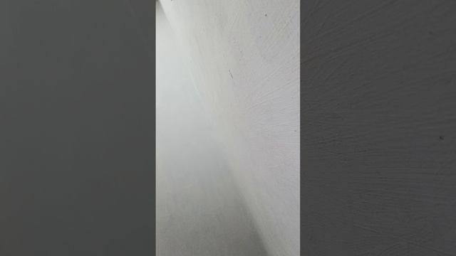 альтовая партия. учу.