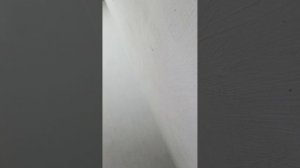альтовая партия. учу.