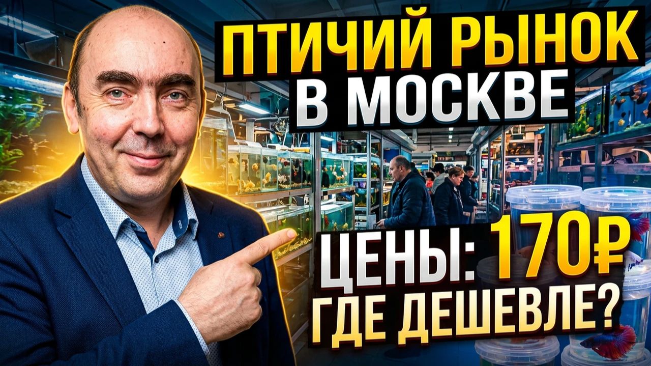 Москва, Птичий Рынок. Обзор Цен на Аквариумных Рыбок, Лето 2026