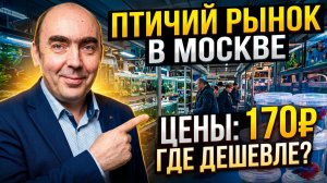 Москва, Птичий Рынок. Обзор Цен на Аквариумных Рыбок, Лето 2026
