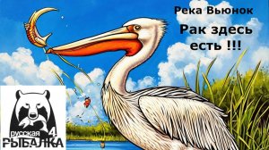 RR4 Рак на р. Вьюнок.