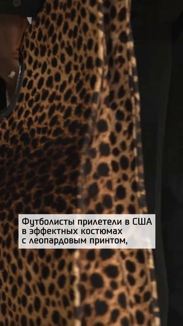 Сборная Конго взорвала соцсети