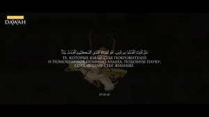 Коран раскрыл тайну паука