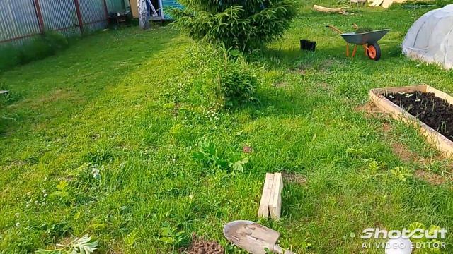 Обзор нашего огородика! Чуть печально, но всё же что-то будет!