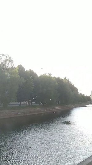 Где-то на Пряжке #shorts