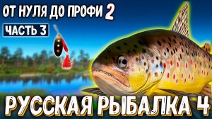 Нашёл фарм на донку для новичка, прокачал донку, АПП лвл, размот #рр4