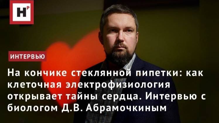 Как клеточная электрофизиология открывает тайны сердца? Интервью с биологом Д.В. Абрамочкиным