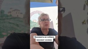 Виновата не собака, виноват хозяин