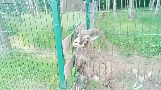 Арт Усадьба Веретьево.