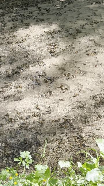 Водиииичка смотреть онлайн