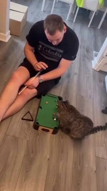 Игра на двоих🐱🌹