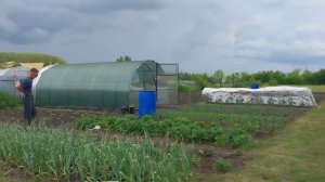 Обожаем творожную запеканку. Собрали Викторию.