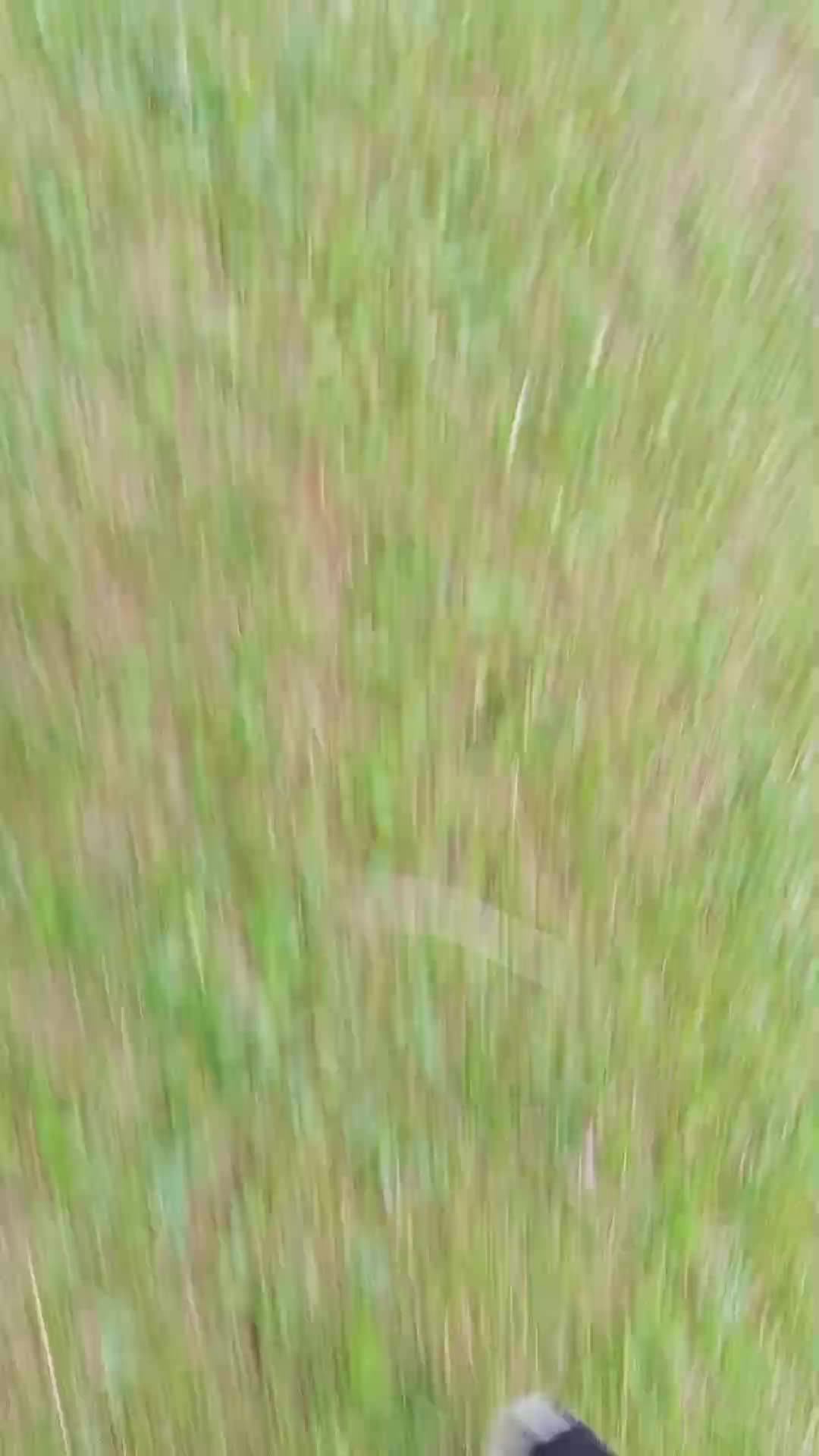 поч
