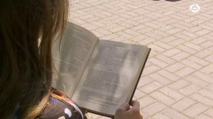 Pro книги. Иоганн Вольфганг фон Гёте «Страдания юного Вертера»