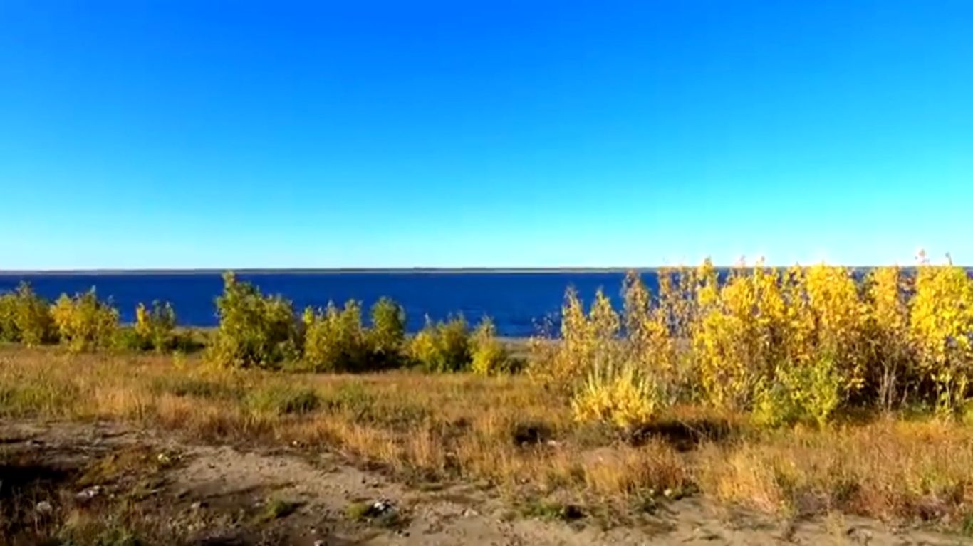 Охота на охоту... смотреть онлайн