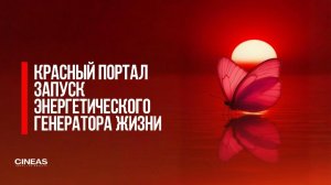 ЗАПУСК ЭНЕРГЕТИЧЕСКОГО ГЕНЕРАТОРА ЖИЗНИ _ МОЛИТВЕННЫЕ МЕДИТАЦИИ