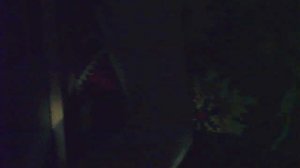 PICT0004