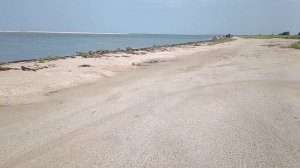 Рыбачим. Азовский бычок.