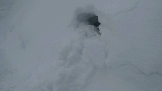 Медведь шатун во дворе4 смотреть онлайн