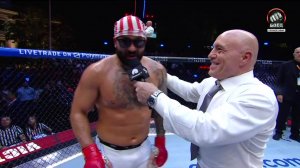 Интервью Джоша Хокита (видео). UFC Freedom 250. MMA/Единоборства