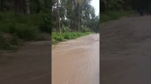 Наводнение в муниципалитете Меасам (Филиппины 13062026)