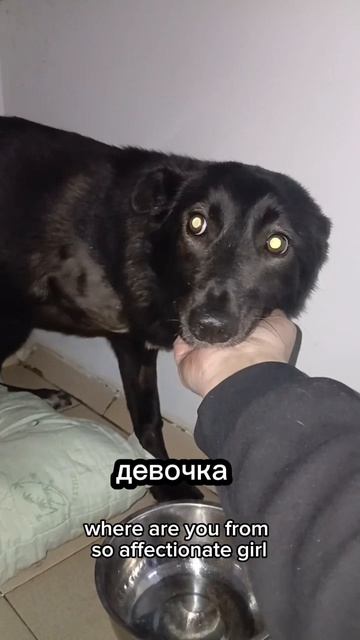 ЧТО СТАЛО СО СТРЕЛКОЙ