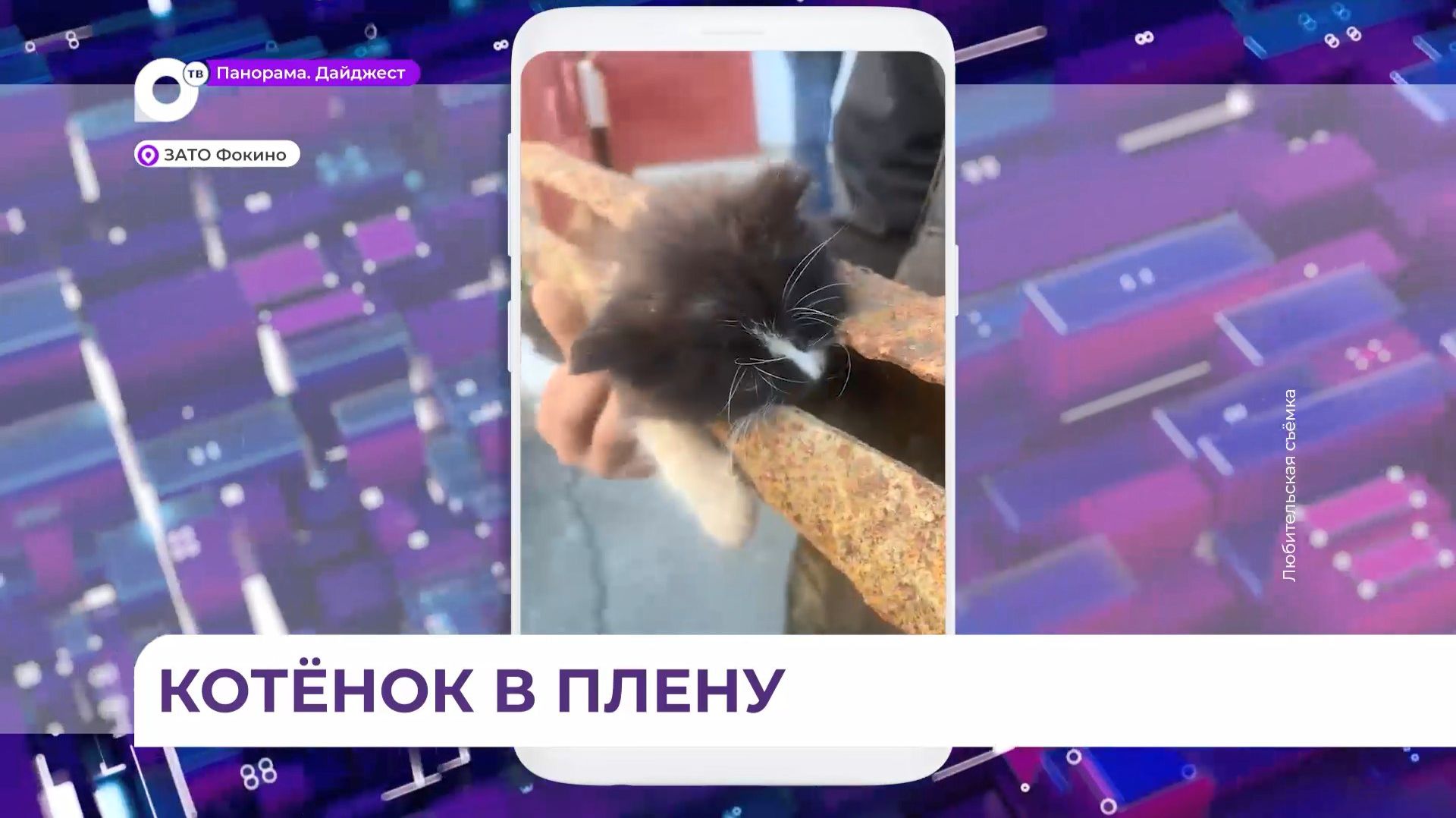 Необычную операцию по вызволенною из плена провели спасатели из Фокино