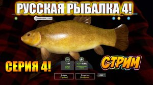 Начинаем ловить серьезную рыбу! Russian Fishing 4! Серия 4