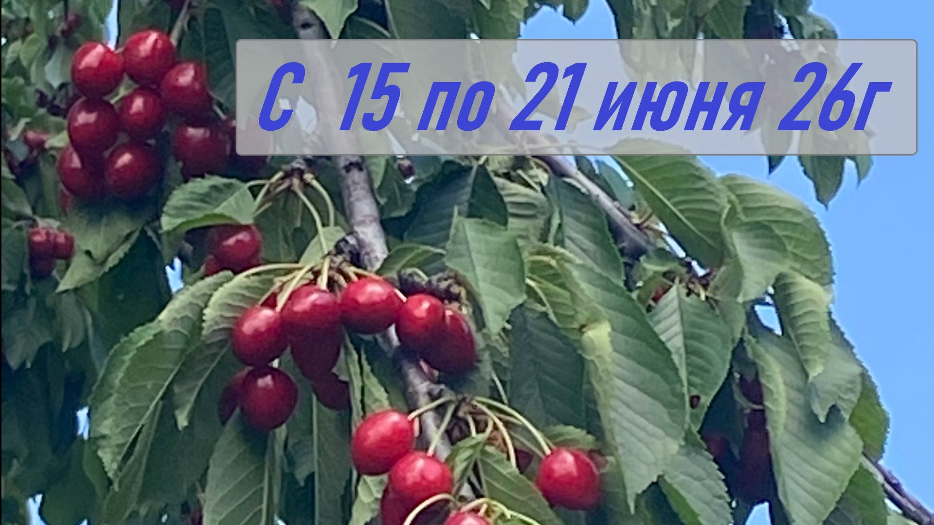 Прогноз с 15 по 21 июня 26г