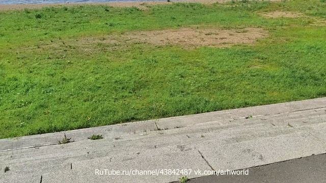 👋 Архангельский пляж в понедельник утром: когда город ещё спит