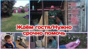 Нежданный гость.Будем спасать