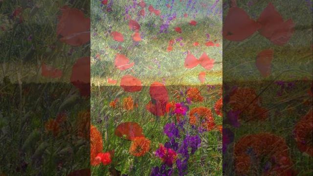Загадаю желание. Майя Ананьева
