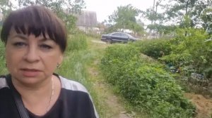 Уехала по делам. Наконец то я это сделала. Заготовки приправ на зиму. Проводила мужа.