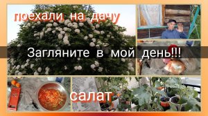 Загляните в мой день//салат//поехали на дачу