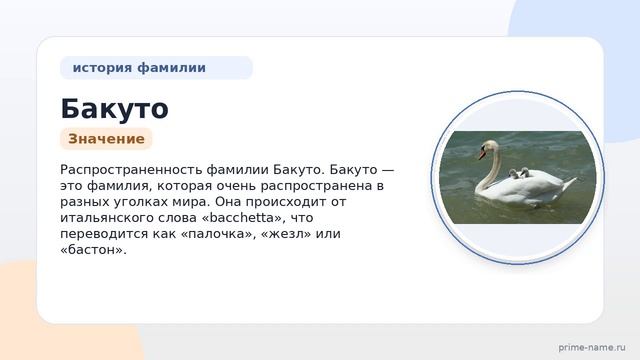 Фамилия Бакуто: происхождение, значение и склонение