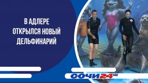 В Адлере открылся новый дельфинарий