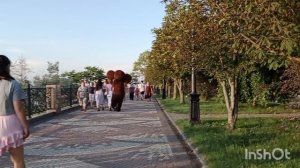 Разная живность на Приморской набережной в Ейске