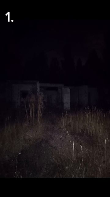 На каком фото тебе стало не по себе? Часть 6