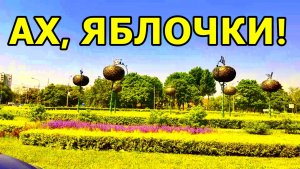 МОИ ЛЮБИМЫЕ ЯБЛОЧКИ НА КАНТЕМИРОВСКОЙ! МОСКВА. 12 ИЮНЯ 2026 ГОДА.