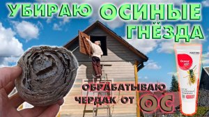 Убираю осиные гнёзда. Подвязываю растения.