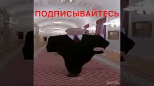Вв Путин