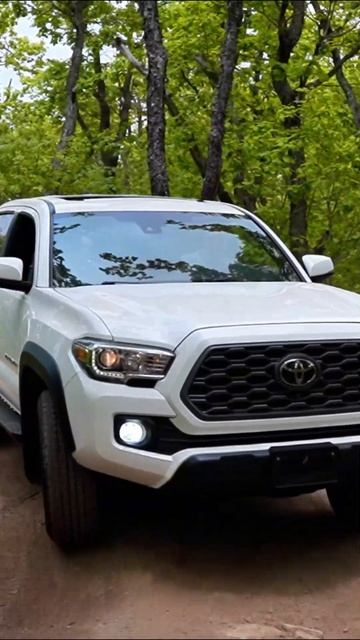 TACOMA