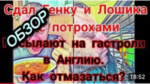 САМВЕЛ АДАМЯН, СДАЛ ГЕНУ С ПОТРОХАМИ, КАК ОТМАЗАТЬСЯ ОТ ГАСТРОЛЕЙ..