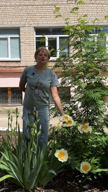 Рассказ о Пионах