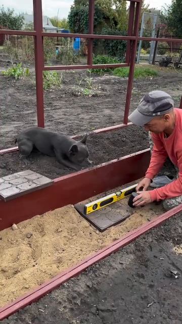 Это просто Космос!