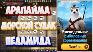 БДО. Арапайма. Морской карась. Пеламида. Рыболовные соревнования. 15-20.06 2026.